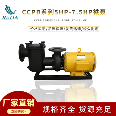 溫泉泳池循環(huán)水處理設備：CCPB系列5HP-7.5HP鐵泵
